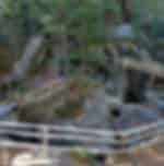 Visit Dossen glacier garden