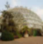 Visit Botanical garden of Dusseldorf