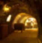 Visit Wine Museum