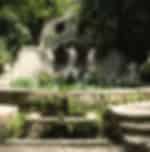 Visit Trsteno Arboretum