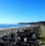 Drive from Franz Josef to Greymouth amidst the rugged beauty of the glaciers