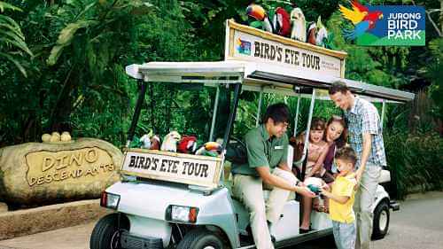 Visit the Jurong Bird Park and falls via a tram ride along with the Bird's Eye tour