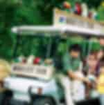 Visit the Jurong Bird Park and falls via a tram ride along with the Bird's Eye tour