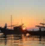 Sunset River Cruise and Basket Boat Rowing