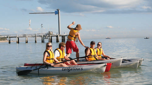 An adventurous day trip with a scenic cruise to the beautiful Tangalooma Island Resort 