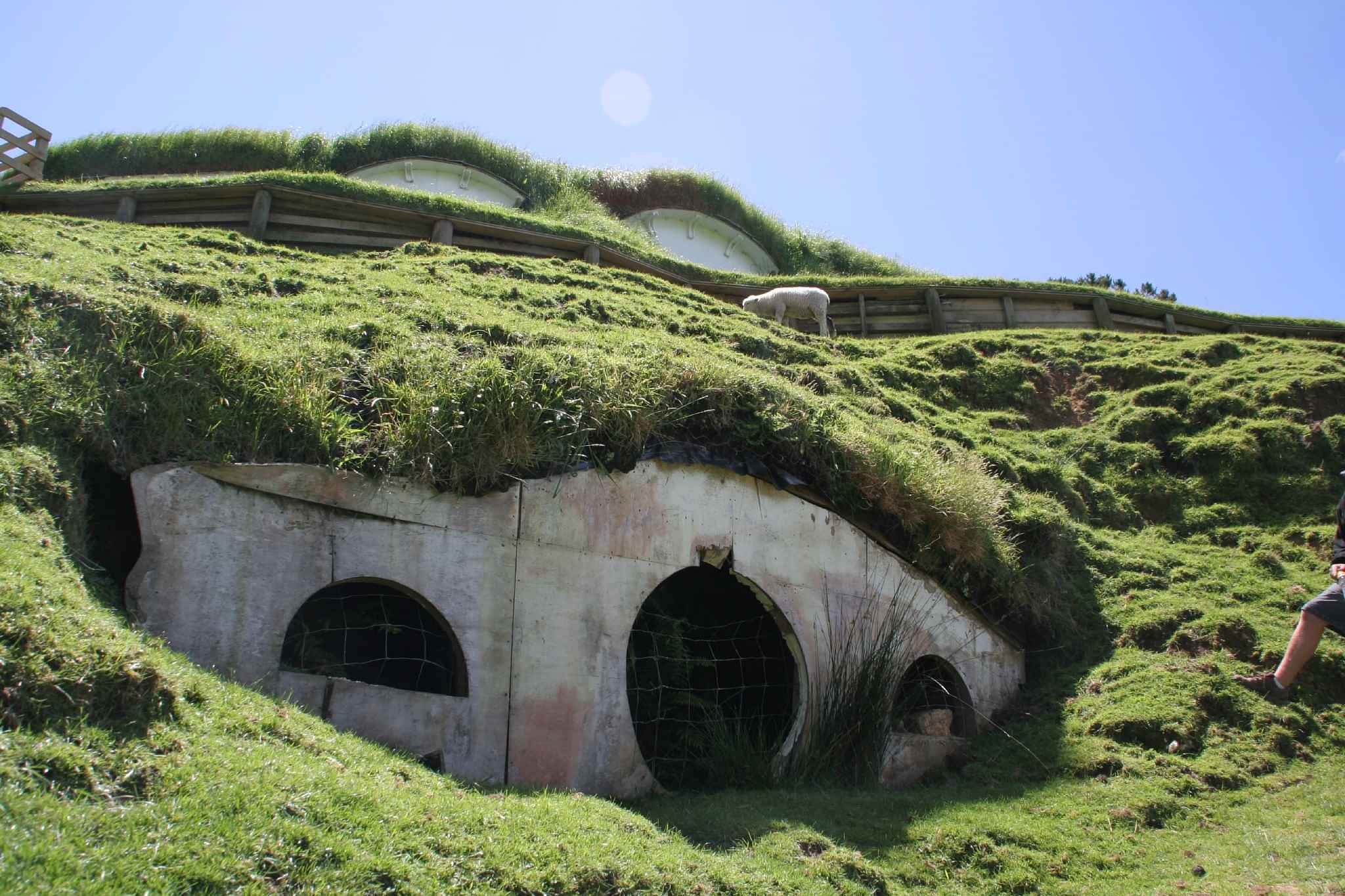 Experience Waitomo and Hobbiton on the way to Rotorua.