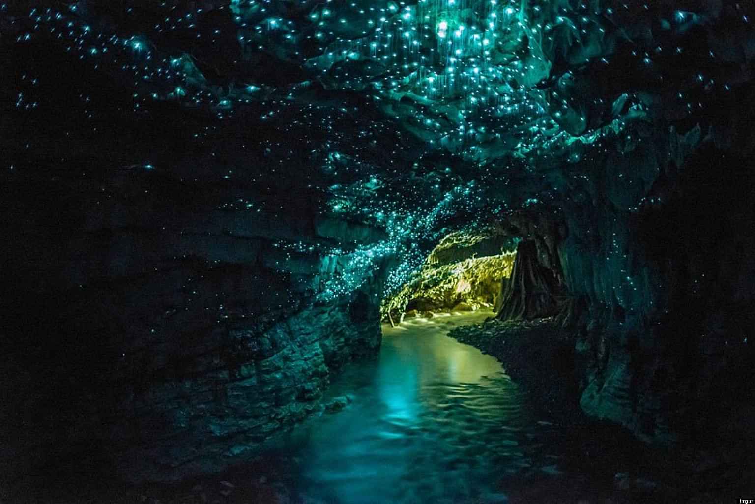 Waitomo Glowworm Caves from Paihia- Admissions Only