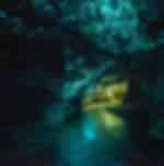Waitomo Glowworm Caves from Paihia- Admissions Only