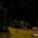 Puerto Princesa Fireflies Watching with Dinner