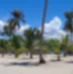 Honda Bay Island Hopping Tour