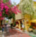 Visit Plaka - oldest section of Athens