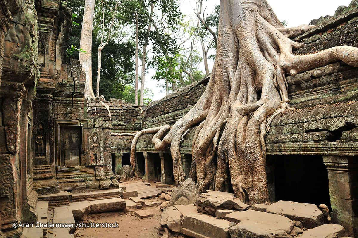 Ta Prohm