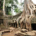 Ta Prohm