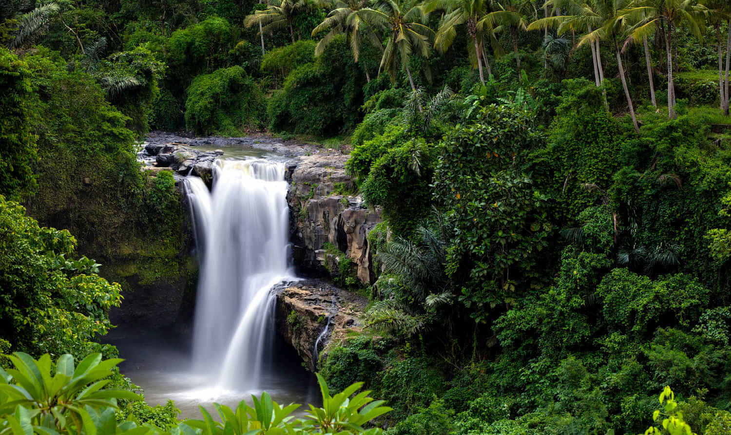 Swimming in Tegenungan Waterfall