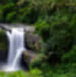 Swimming in Tegenungan Waterfall