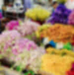 Flowery memories at Bangkok flower market