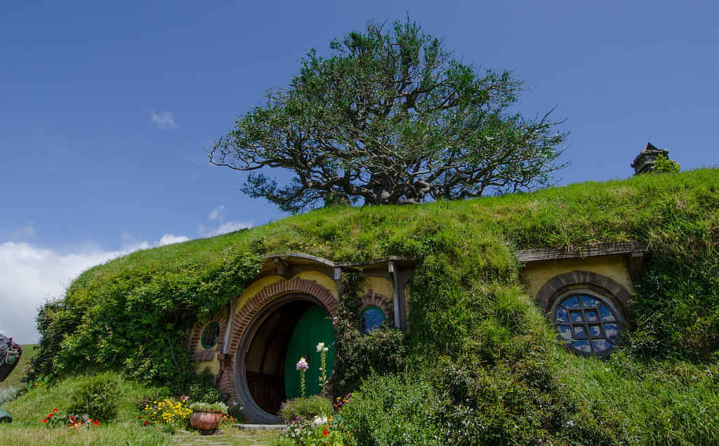 Experience Hobbiton movie sets on the way to Rotorua - Stepping into the lush pastures of the Shire