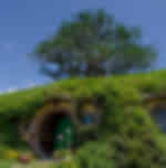 Experience Hobbiton movie sets on the way to Rotorua - Stepping into the lush pastures of the Shire