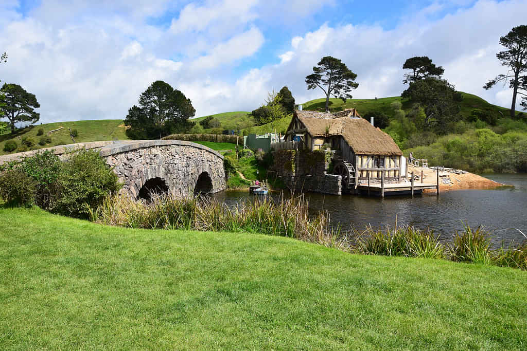 Full day tour of experiencing the Hobbiton movie sets and reliving the movie feels on the way to Hahei