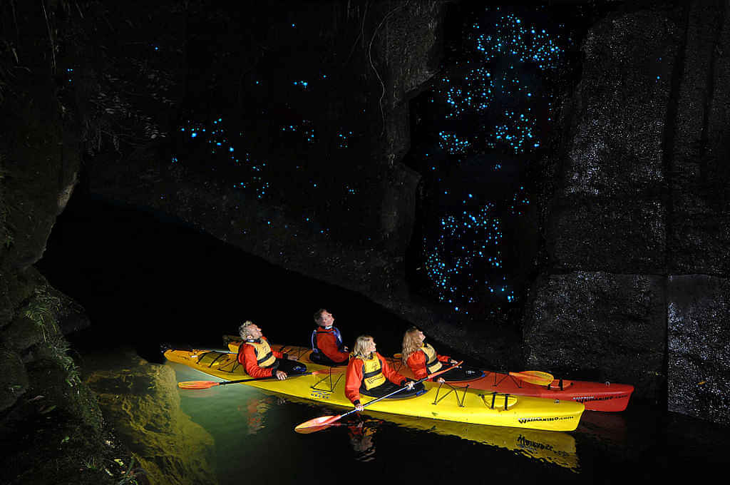 Experience Waitomo Glowworm caves on the way to Auckland