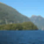 Magical experience and stunning scenary at the Doubtful Sound Wilderness cruise and Fiordland National Park