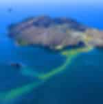 White Island Tour - 6 hour adventure to explore New Zealand with insights about the marine volcanoes