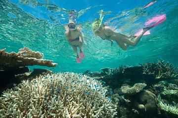 Great Barrier Reef snorkeling cruise from Cairns