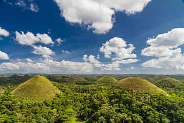 Bohol Highlights Tour: Chocolate Hills, Tarsier Spotting and Loboc River Cruise