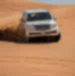 Premium Desert Safari