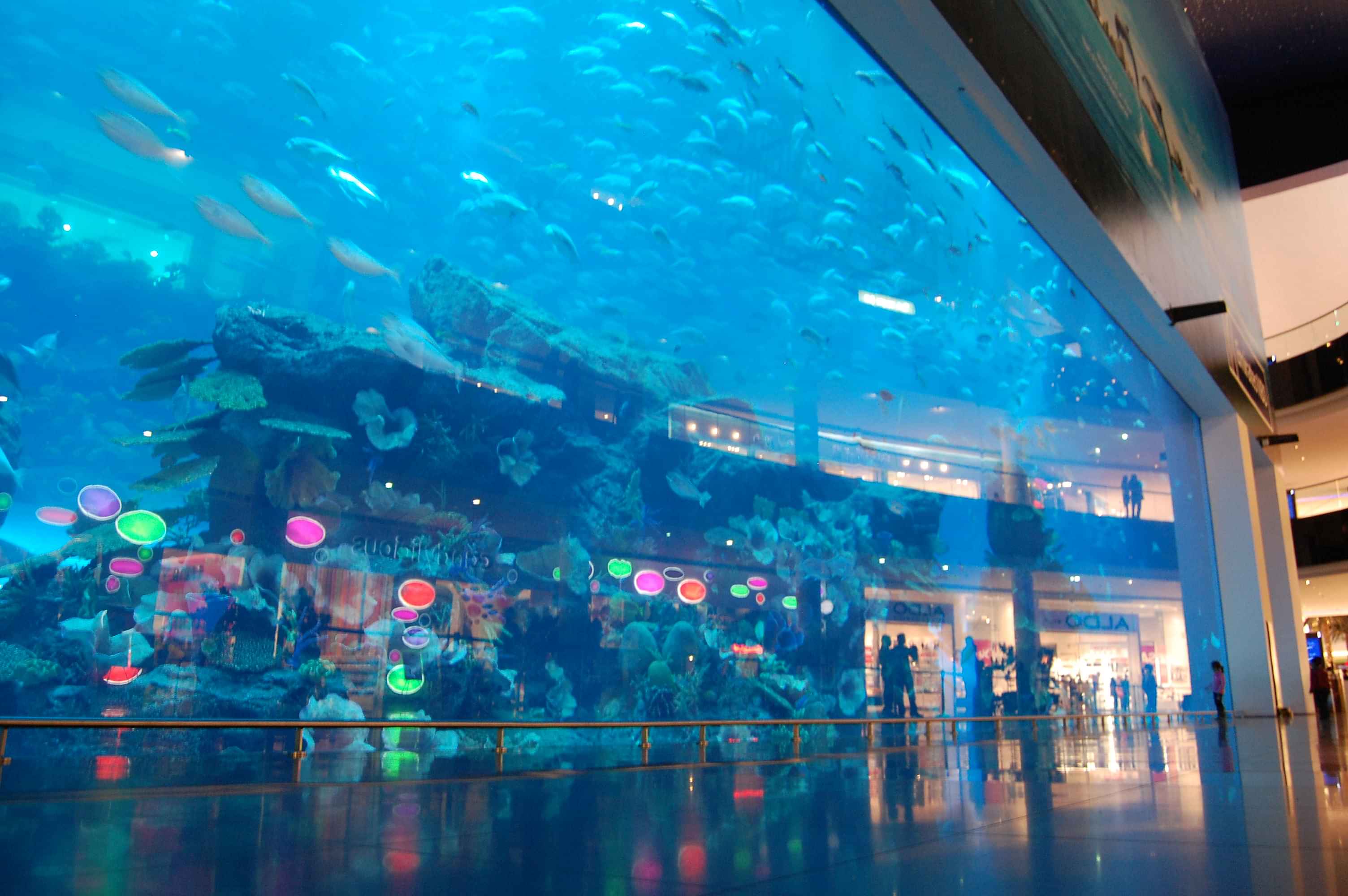 Explore Dubai Aquarium & Underwater Zoo (General Admission) Tickets only