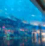Dubai Aquarium & Underwater Zoo (Ultimate Pass) Ticket only