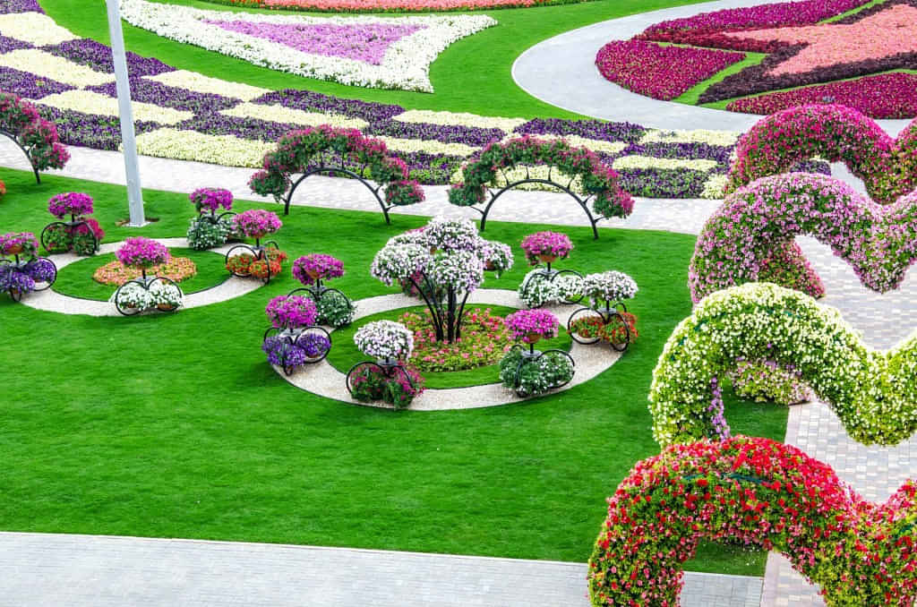 Miracle Garden - A Walk Through World’s Largest Natural Flower Garden