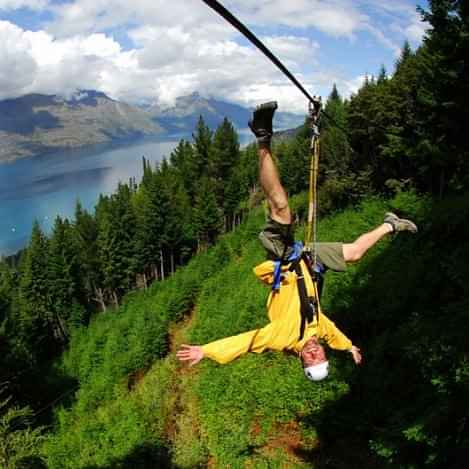  Kea Tour from Queenstown -A guided journey through ancient native beech forest 