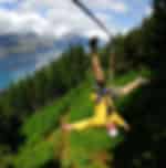 Kea Tour from Queenstown -A guided journey through ancient native beech forest