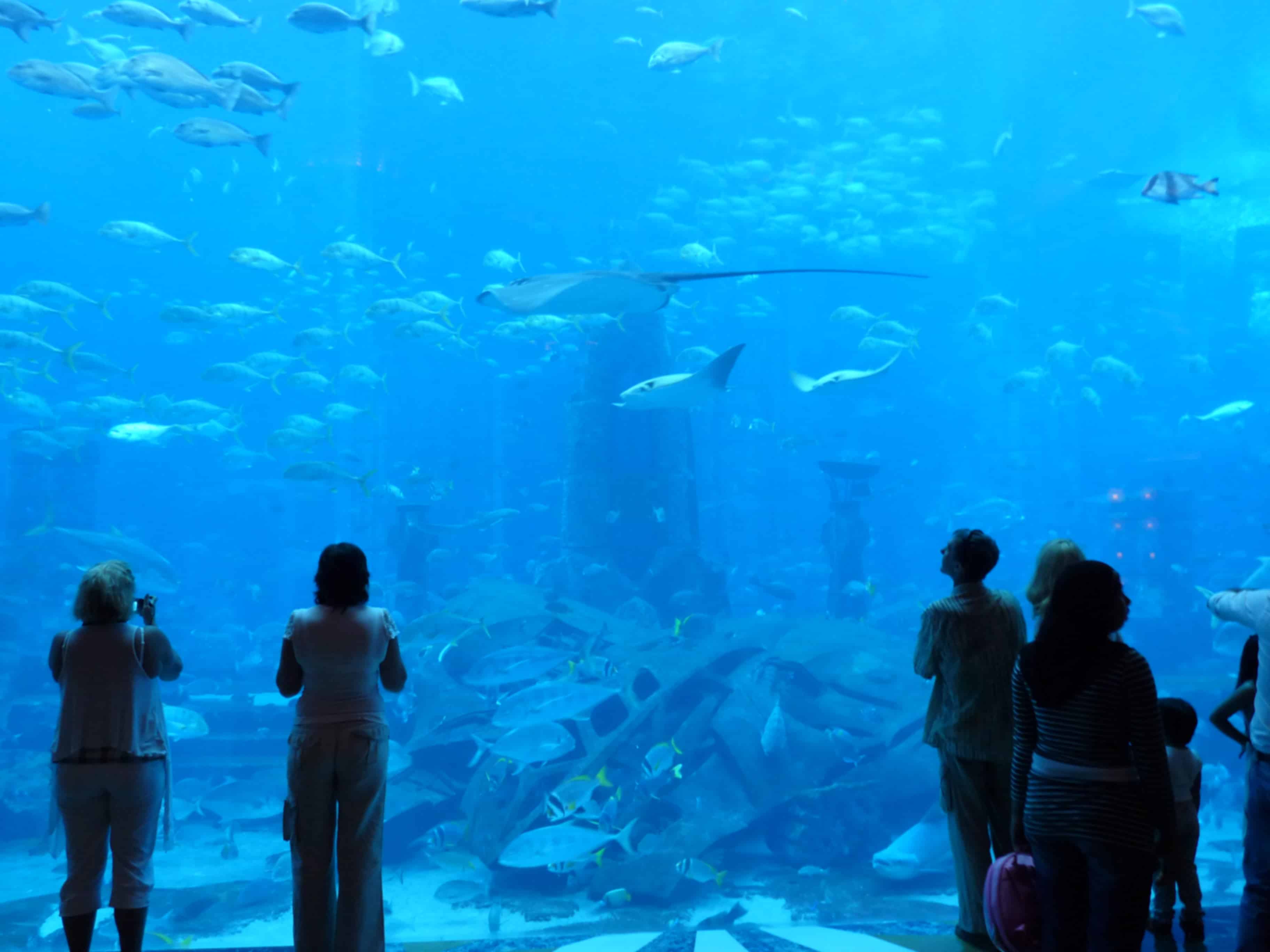 Itinerary gallery 2