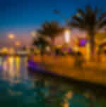 Experience the Beauty of Miracle Garden Dubai & Global Village
