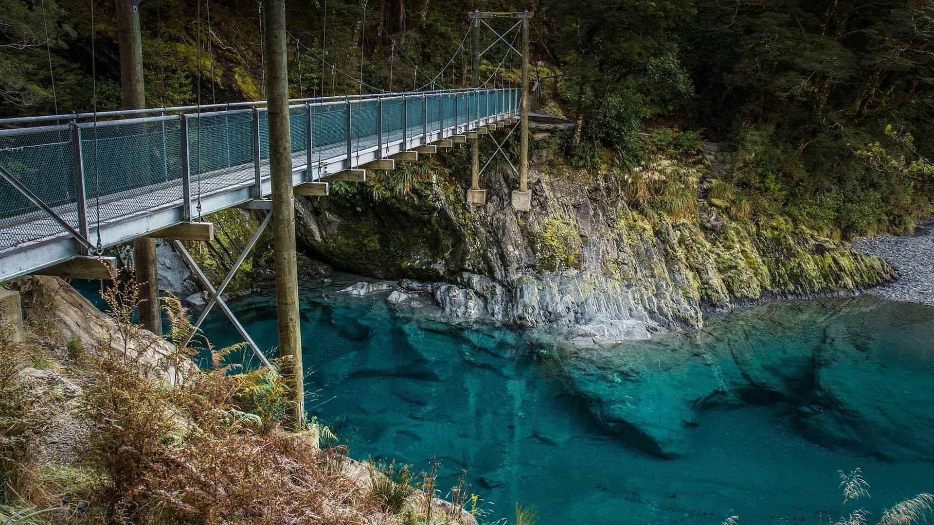 Self Exploration - A short walk away from the Haast Highway towards Blue Pools