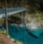 Self Exploration - A short walk away from the Haast Highway towards Blue Pools