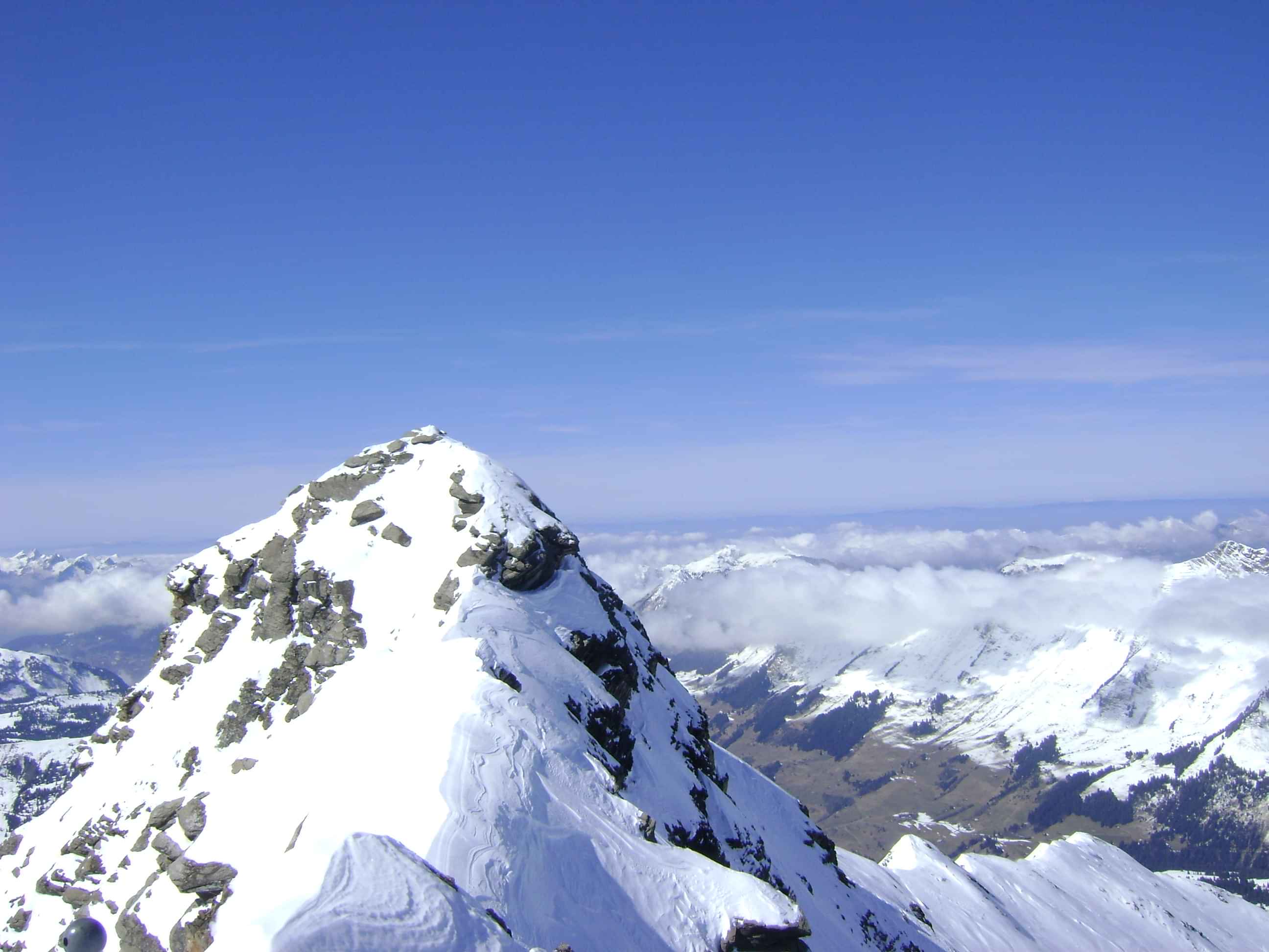 Glacier 3000 - Best combined with Swiss Pass