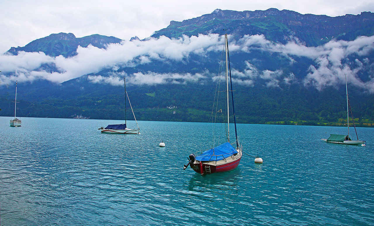 Lake Brienz Cruise - Afternoon tour (Best Combined with Swiss Pass)