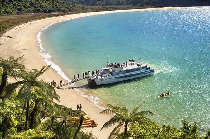 Enjoyable boat cruise and walk combination at Abel Tasman National Park and Swing Bridge