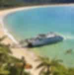 Enjoyable boat cruise and walk combination at Abel Tasman National Park and Swing Bridge