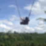 Experience the Iconic Bali Swing with private transfers