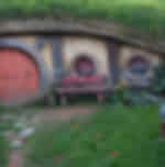 Digging into the insights of the Hobbiton movie sets for the whole day on the way to Paihia