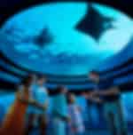 Sentosa Day Tour Combo on Seat In Coach Transfers Cable Car, Luge and Skyride 3 rides, Oceanarium and Wings of time