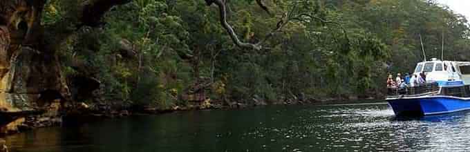 Ku-ring-gai Chase National Park Day Trip