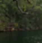Ku-ring-gai Chase National Park Day Trip
