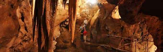 Blue Mountains & Jenolan Caves Day Tour