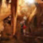 Blue Mountains & Jenolan Caves Day Tour