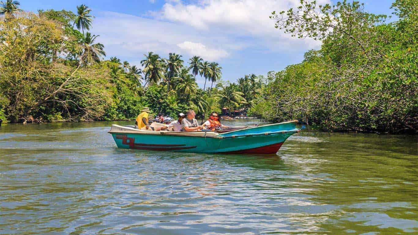 Bentota city tour : Experience Madhu River Ride ,Turtle Hatchery and Water sports